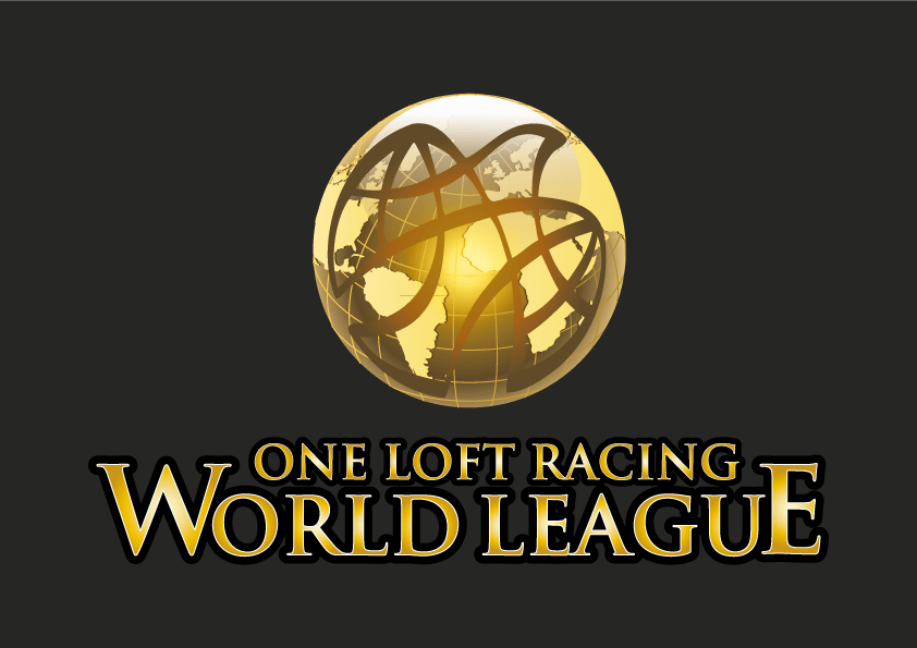 One Loft Racing